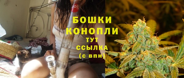 ГАЛЛЮЦИНОГЕННЫЕ ГРИБЫ Нефтегорск