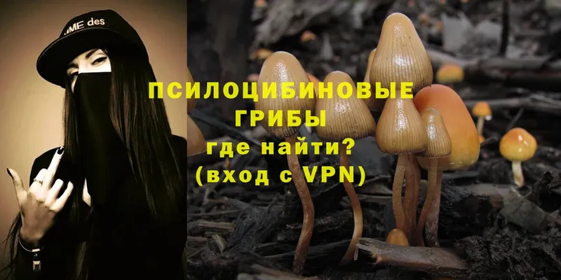 Галлюциногенные грибы Magic Shrooms  Ардатов 