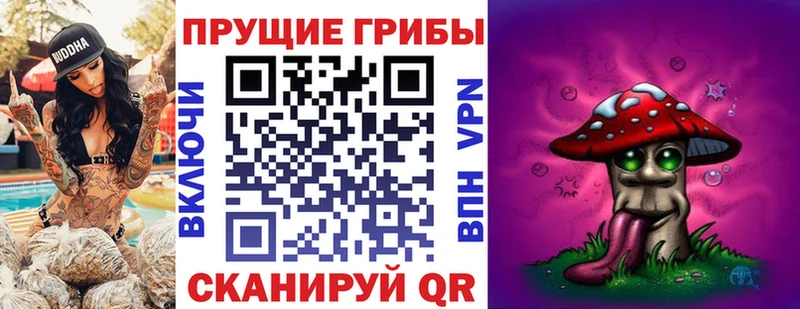 Галлюциногенные грибы Psilocybe  что такое наркотик  Ардатов 